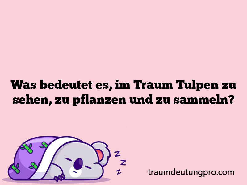 Was bedeutet es, im Traum Tulpen zu sehen, zu pflanzen und zu sammeln?